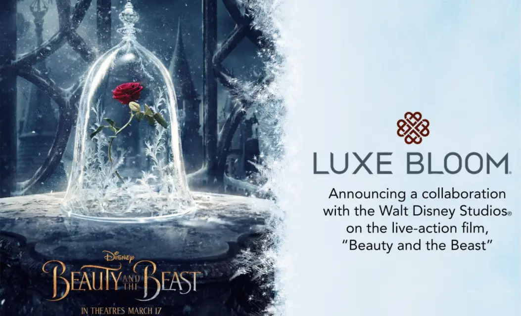 Luxe Bloom is chosen as the official rose for Disney’s upcoming live-action adaptation of “Beauty and the Beast”