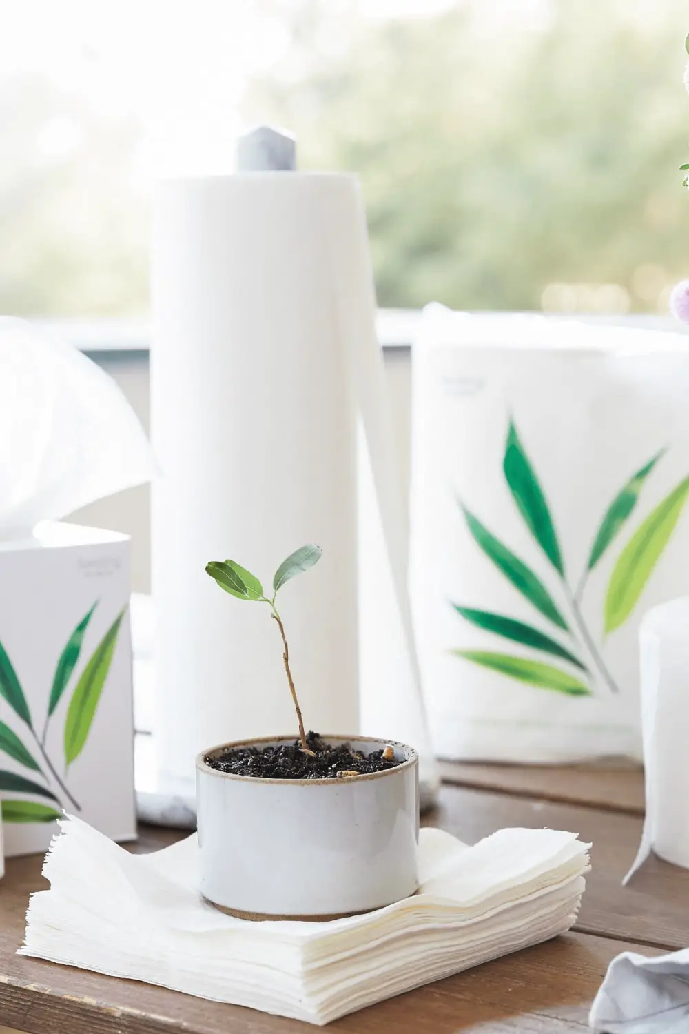 Seedling By Grove: Tree-Free Paper Products