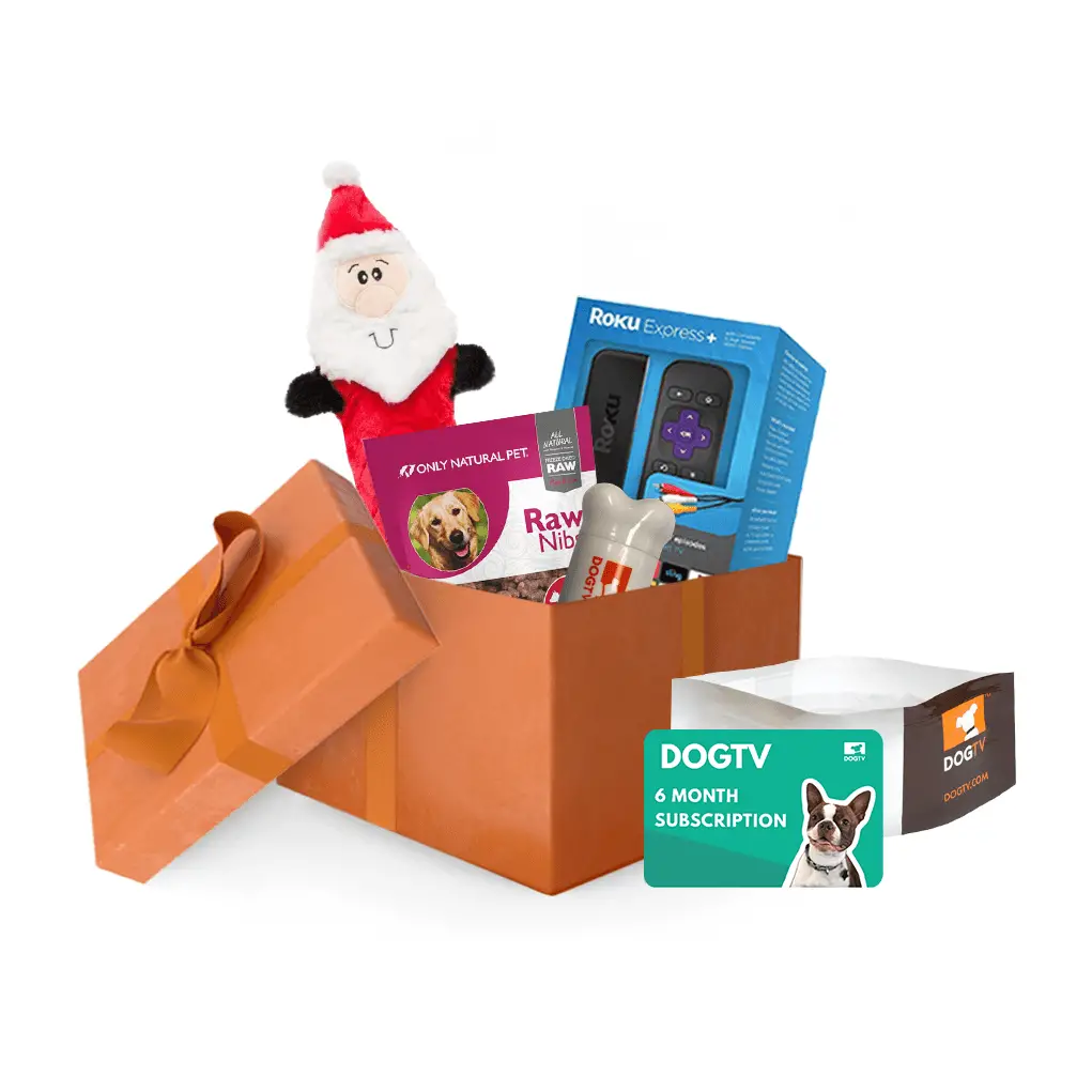 Holiday Gift Guide For Dogs