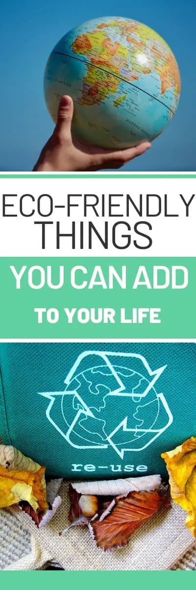ECO FRIENDLY THINGS YOU CAN ADD TO YOUR LIFE