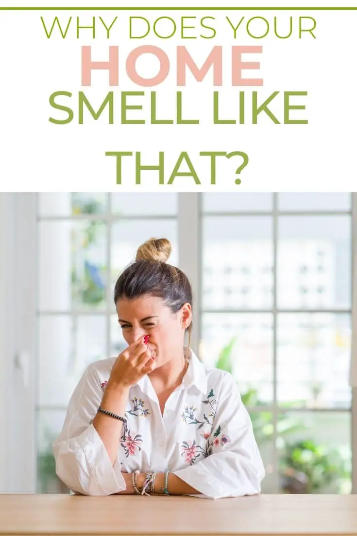 Why Does Your Home Smell Like That?