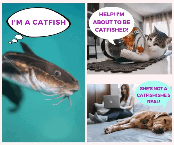 catfishing online and pranking