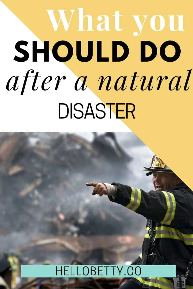 What You Should Do After A Natural Disaster Hits Your Home