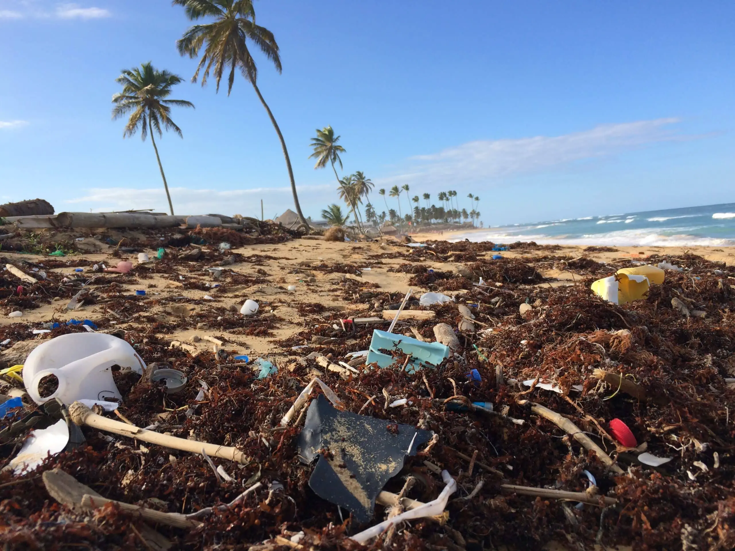 Caring About The Planet: Plastic Oceans
