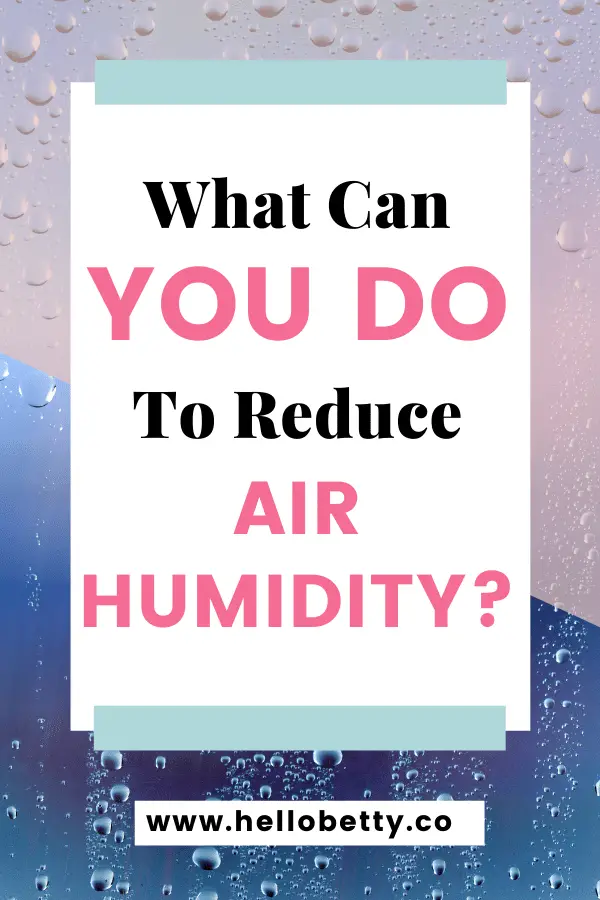 What Can You Do To Reduce Air Humidity?
