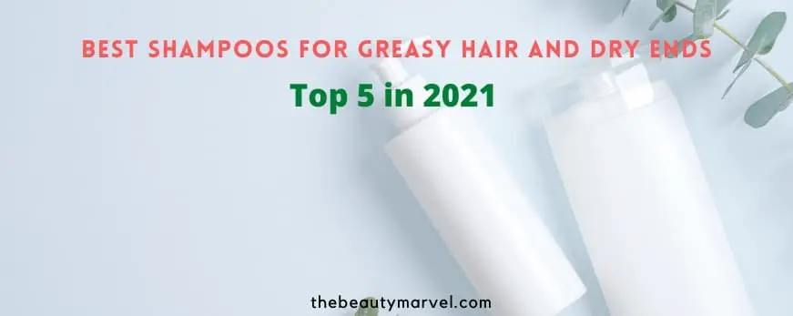 Best Shampoos for Greasy Hair and Dry Ends – Top 5 in 2021