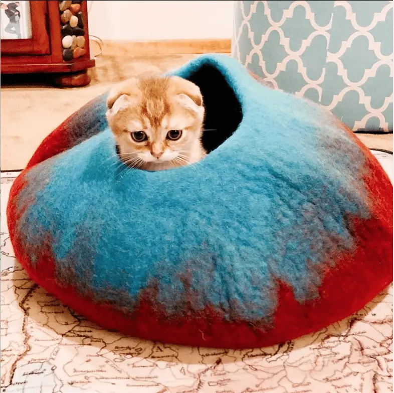 Treat Your Cat This Fall To These Amazing Cat Cave Styles